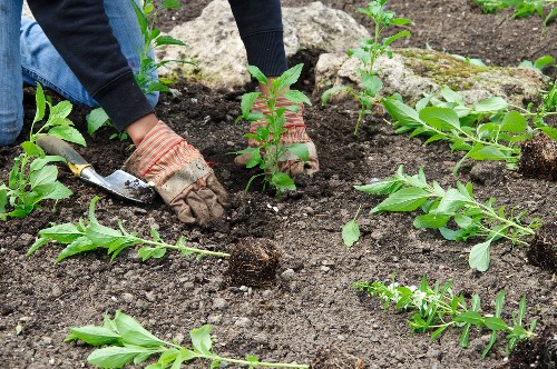 Supervisor briefing gardeners on safety procedures