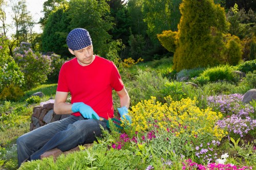 Inspector reviewing garden work during investigation