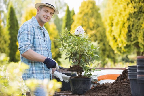 Lawn mowing and turf care in a well-kept Yeading garden